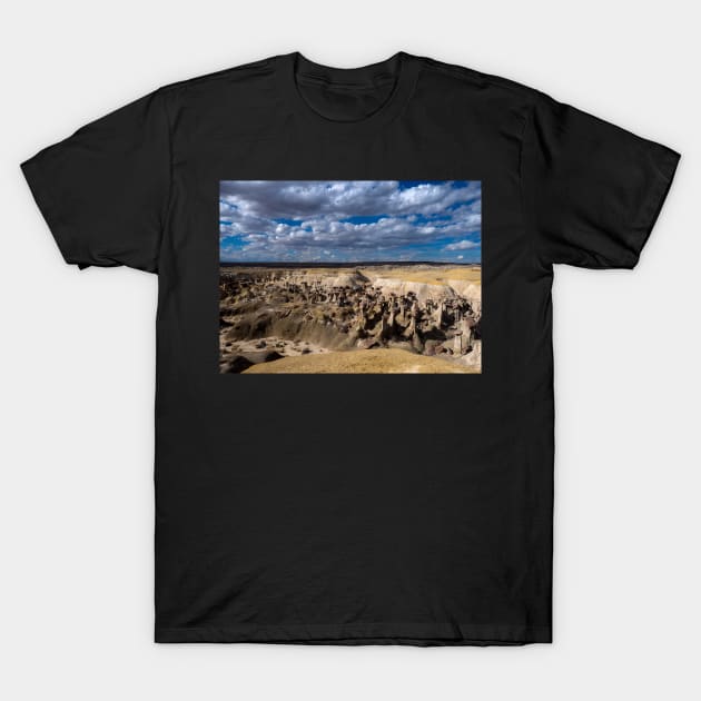 Ah-Shi-Sle-Pah Wilderness T-Shirt by algill